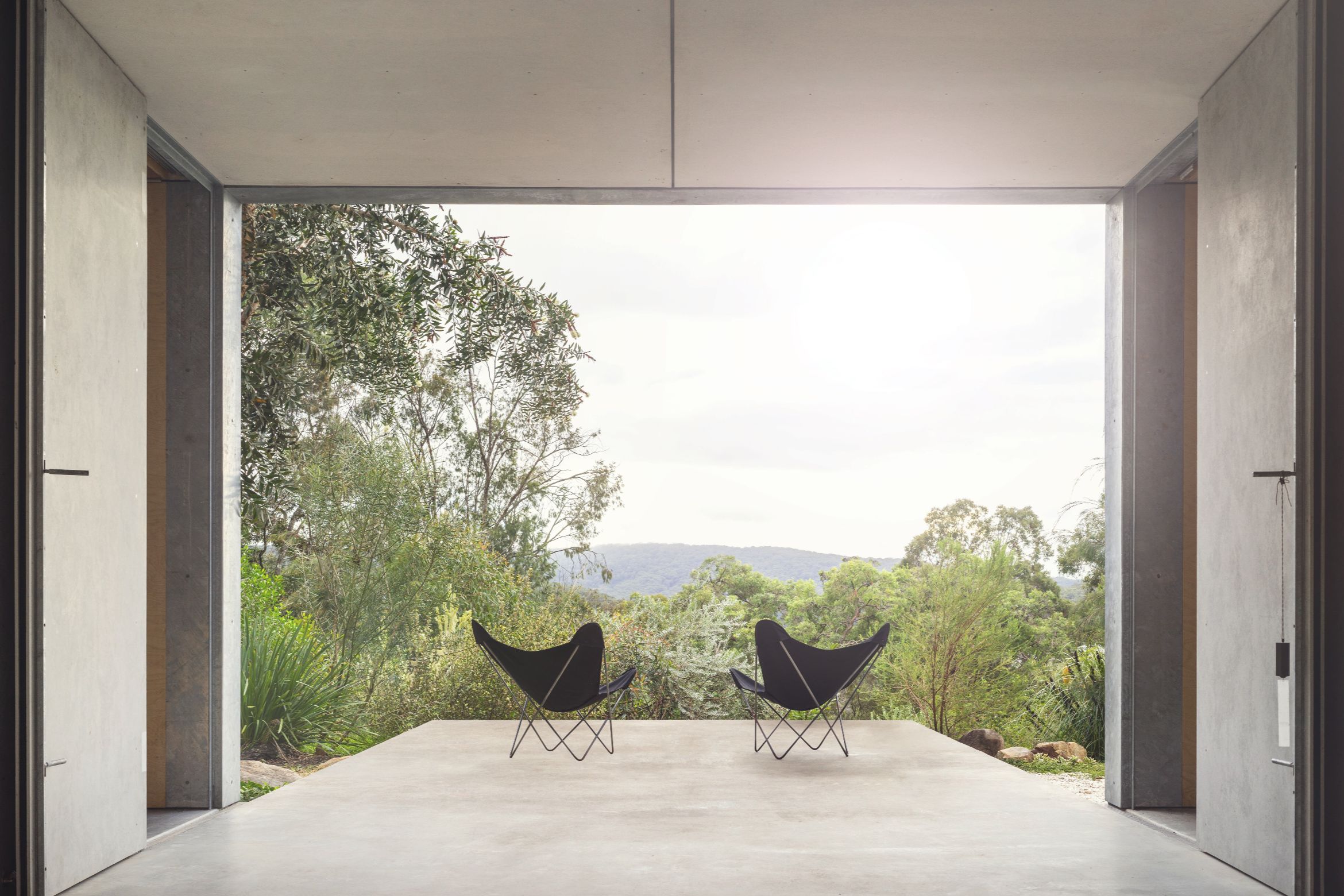 At one with the eucalypts At one with the eucalypts