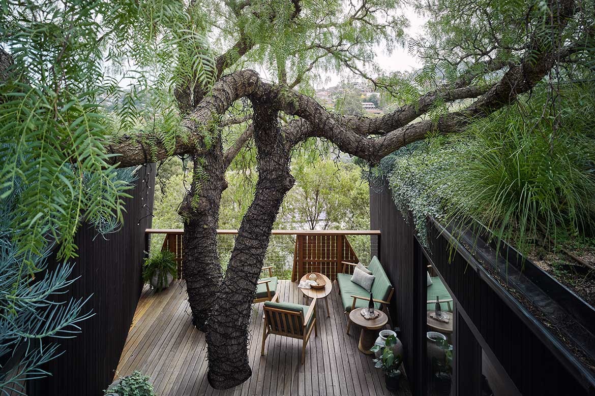 Wrapped in leaves, and in sustainability and amenity